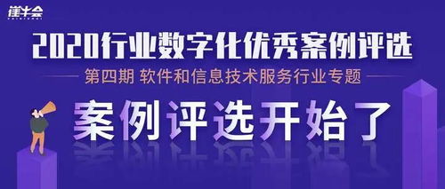 智领未来，数绘新篇 软件和信息技术服务行业最佳案例之信息技术咨询服务深度剖析