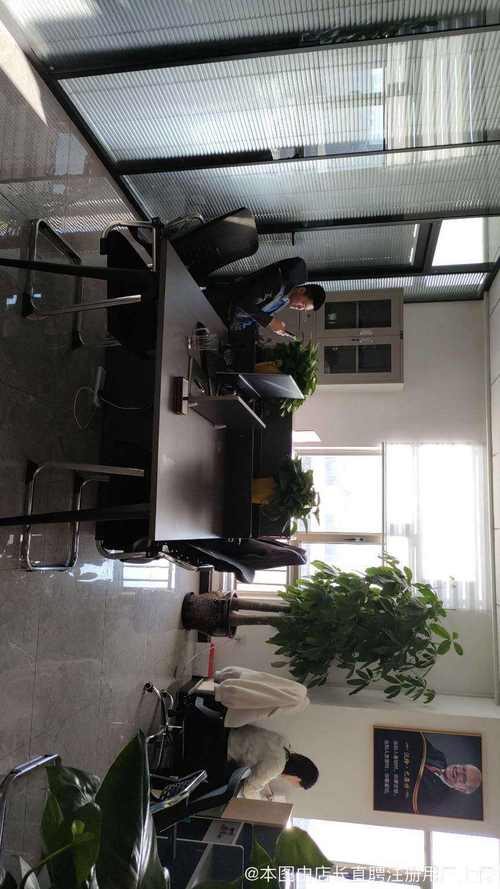 新疆春风信息技术咨询服务 助力企业数字化转型的专业伙伴