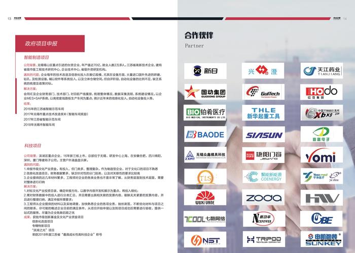 计算机系统集成与信息技术服务 技术转让、咨询及软硬件支持的综合指南